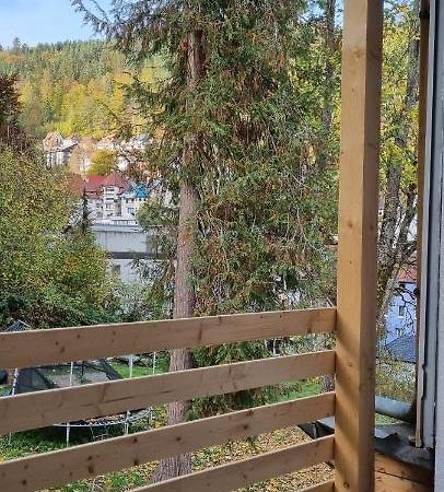 Sm3 Apartment Triberg im Schwarzwald Bagian luar foto